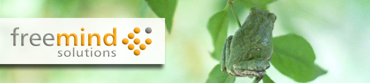Freemind Solutions